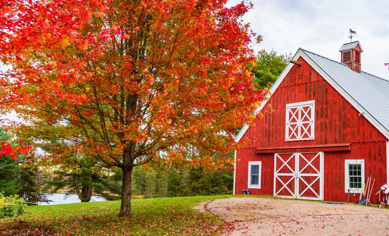 Barn Renovation in Alpharetta, GA
